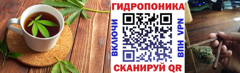 Cannafood конопля  Купить где  Железноводск 